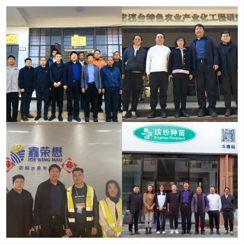 与员工合影(1).png