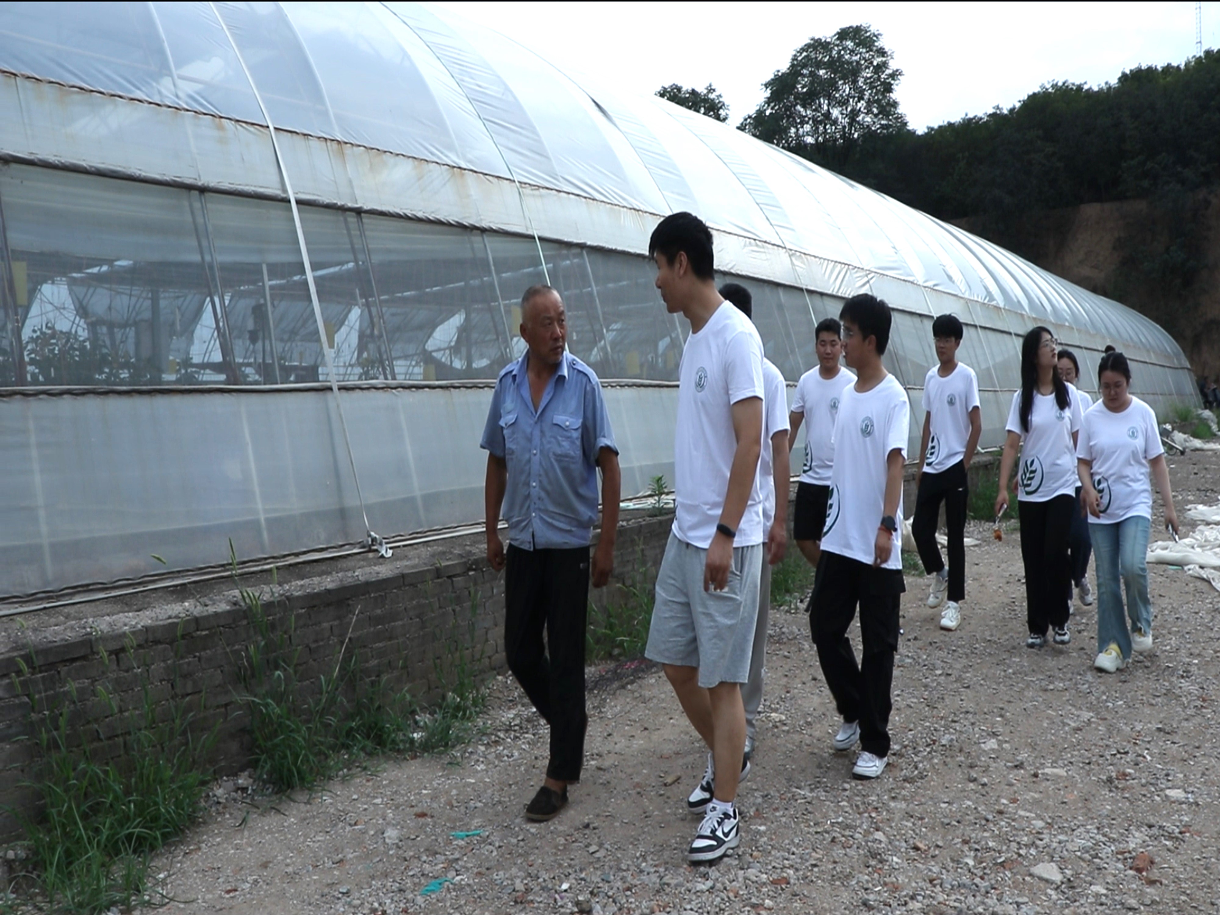 暑期社会实践投稿+3044am永利集团3044noc赴西北地区非耕地设施农业发展调研服务队＋西农学子西吉行：黄土塬上探寻非耕地设施的“绿色生机”图片2.jpg