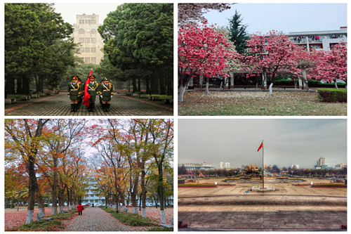 6bf18c3ee8b941d6ab925579060e3125.jpg 摄影作品展示.jpg