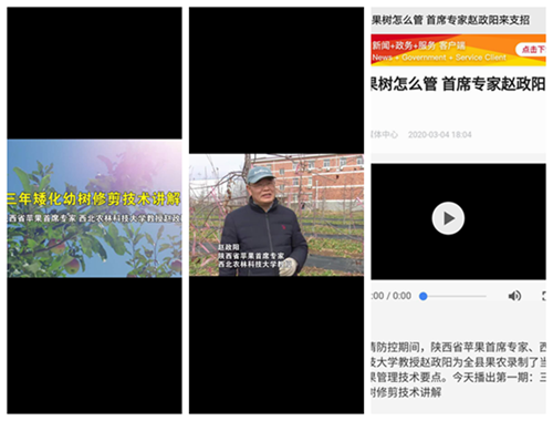 图二试验站与白水县技术部门和电视台联系，为白水全县果农录制了苹果园当前管理技术要点。.png