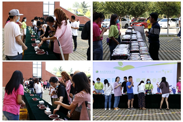 畅享园艺 品鉴.jpg