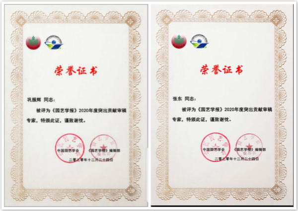 证书.jpg