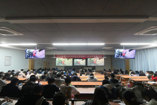 020f5e7c8e6f4a4698f176aedcab2c12.png image.png