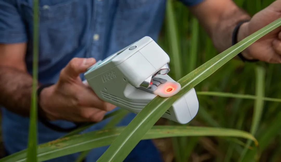 078f0e14977241bd968879a8ab131de9.png 078f0e14977241bd968879a8ab131de9.png