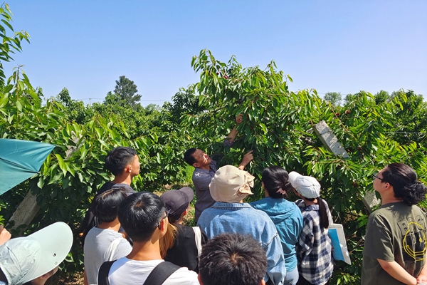 d48743a86d584d24892e05a1e64f4610.jpg 活动1.jpg