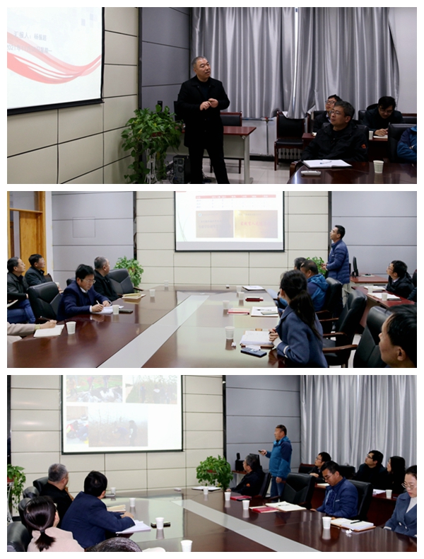 泾阳蔬菜试验示范站汇报交流 (2).JPG