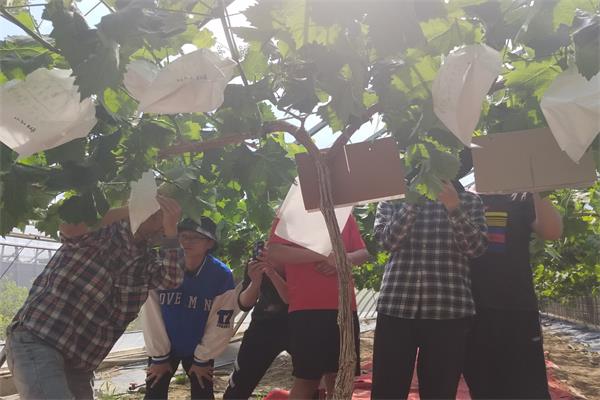 ab95bf83318644619533fad92459cd1d.jpg B91C98EDE61D3F206C29D7491D4C9E9B.JPG