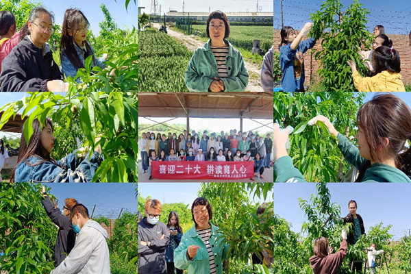 af7cf8b8d6b842e892a86b92e0dc3b6b.jpg 九宫格原图_副本.jpg