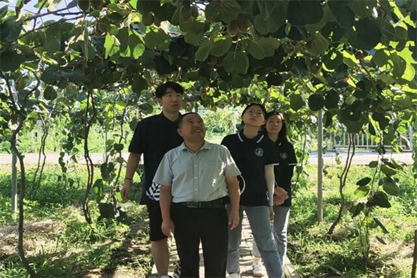 56cc3dce58a74fdc8b98f06a5cd51aa4.jpg 图1.jpg